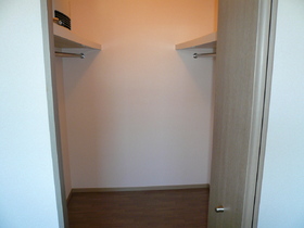 Other. Plenty of storage walk-in closet