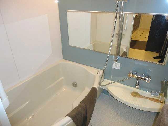 Bathroom. Indoor (11 May 2013) Shooting