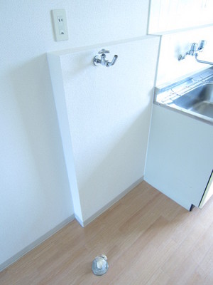 Other. It is a popular indoor washing machine Storage