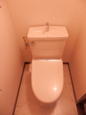 Toilet. Warm water washing toilet seat