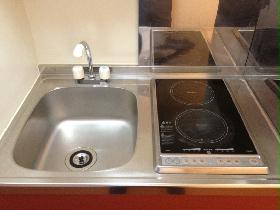 Kitchen. Type with electric stove 2-neck