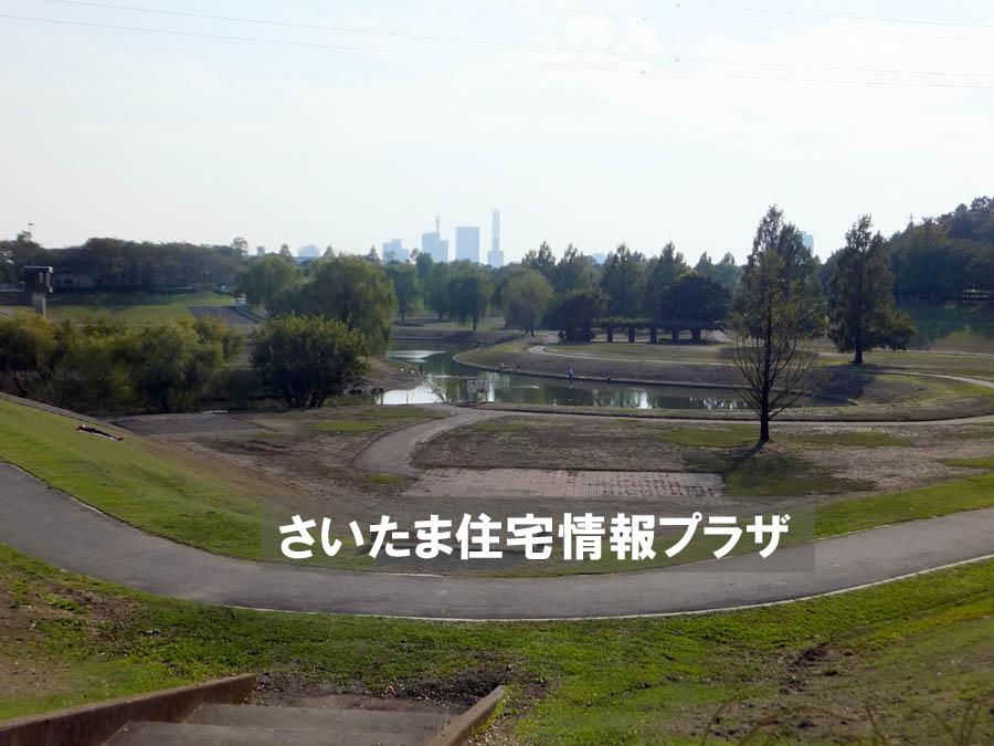 Other. Owada park multi-purpose open space