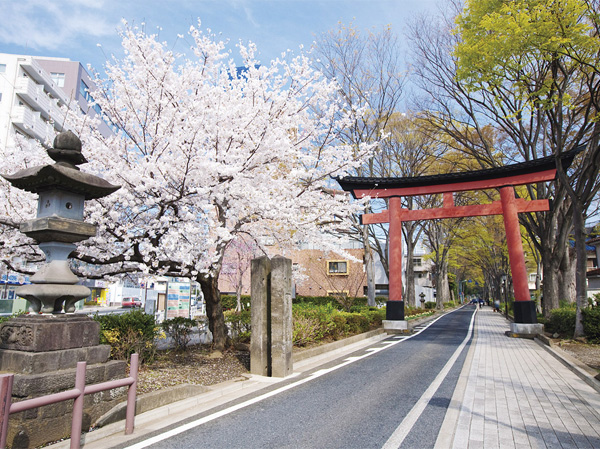 Surrounding environment. Located near the entrance "one of torii" of approach towards from the old Nakasendo to Hikawa Shrine. Hikawa approach is symbol of Omiya is also specified in the heck is parkland. In the beautiful tree-lined street with a focus on zelkova, Masu Me easier time of rest, such as take a walk. (Hikawa approach one torii / About 30m)