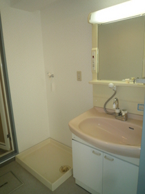 Washroom. With Vanity