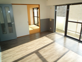 Living and room. Living and Japanese-style room