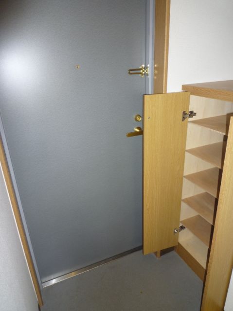 Entrance. Storage pat firmly attached also shoebox!