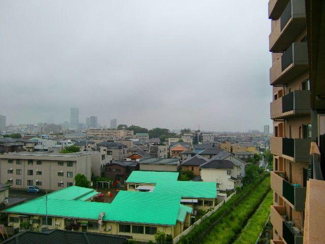 Other. View