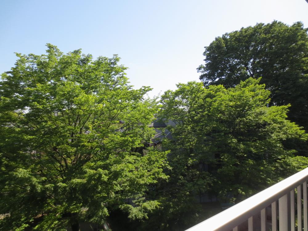 View photos from the dwelling unit. View from local (May 2013) Shooting