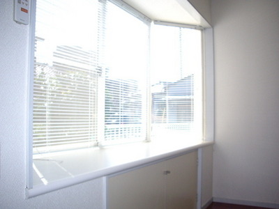 Other. Stylish bay windows