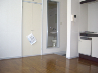 Living and room. South-facing a bright room