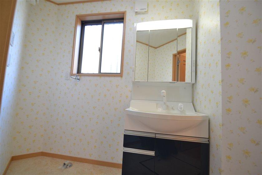 Wash basin, toilet. Washroom (December 2013) Shooting