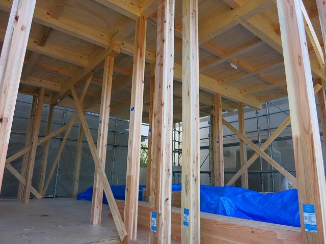 Other introspection. Local (12 May 2013) Shooting