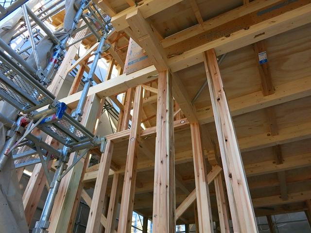 Other introspection. Local (12 May 2013) Shooting