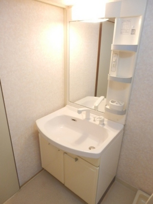 Washroom. Shampoo dresser! 