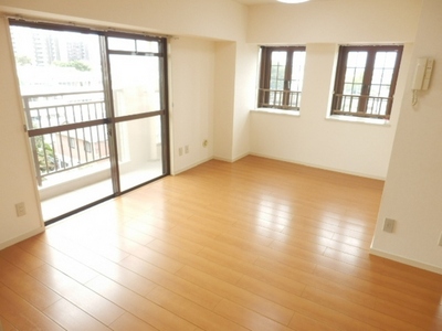 Living and room. spacious! Bright living room with many windows