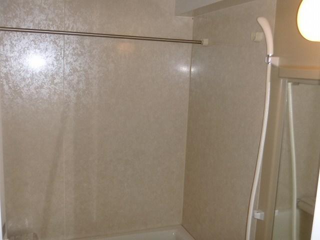 Bathroom. Indoor (11 May 2013) Shooting