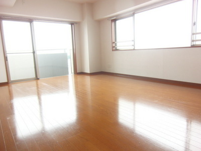 Living and room. Spacious living room