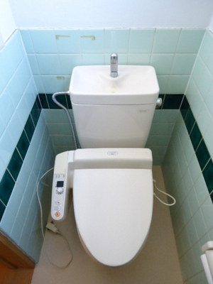 Toilet. Warm water washing toilet seat