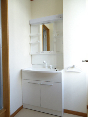 Washroom. Happy shampoo dresser