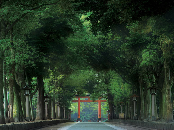 Surrounding environment. Hikawa Shrine ・ Third torii (14 mins ・ About 1100m) is also the Headquarters of Hikawa Shrine, which spread to the Kanto region this guardian is, Bygone days have been revered as "great Miyai" to people. From the temple town to post town of Nakasendo, And to the Kanto's leading transportation of strategic point. And watch the quiet town of transfiguration with the times.