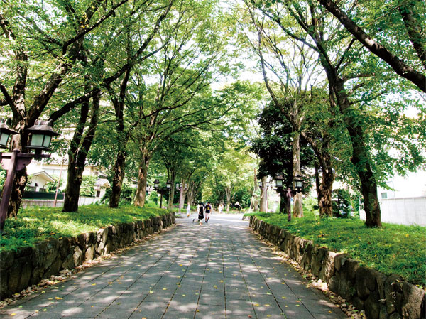 Surrounding environment. "Hikawa Shrine" (a 15-minute walk ・ About about 2km of approach that extends from 1170m) is symbolic landscape of Omiya. As an important place to the city of Omiya is inherit to the future, It has been specified in the scenic district of Saitama City. Situated about 90m to such "Hikawa approach" is attractive.