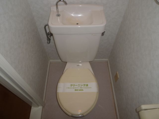 Toilet. It is a toilet with a clean