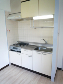 Kitchen. City gas use property.