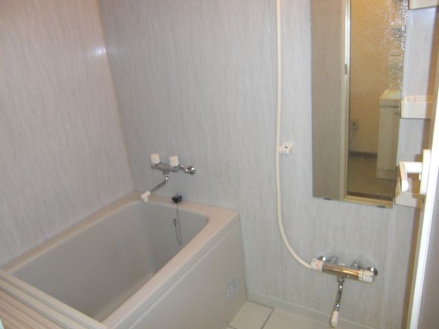 Bath. It is a bath with a large mirror! 