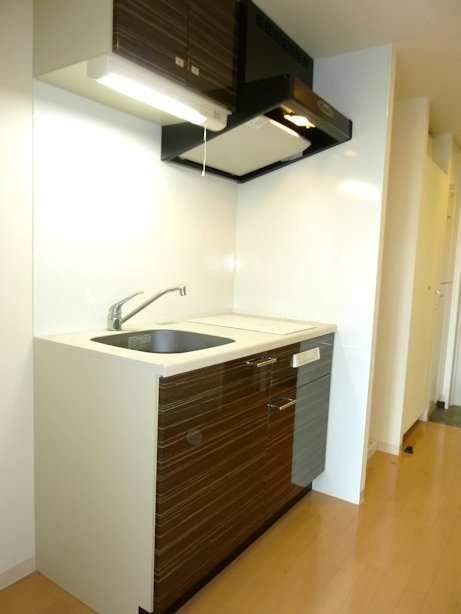 Kitchen. It will raise the arm of the dishes in the popularity of two-burner stove IH