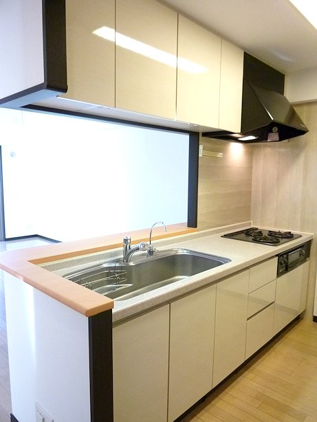 Kitchen. Popular with women! Disposer with face-to-face counter system Kitchen