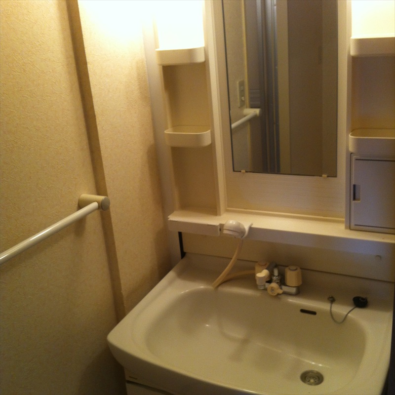 Washroom. Shampoo dresser