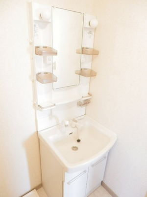 Washroom. Shampoo dresser