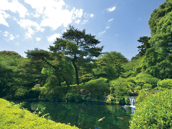 Surrounding environment. Omiya Park (walk 22 minutes, About 1740m)