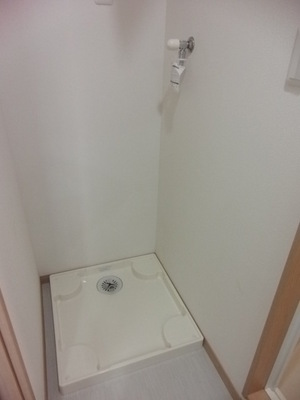 Washroom. Washing machine in the room