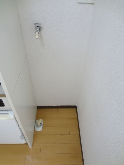 Other. You put in the room is also a washing machine.