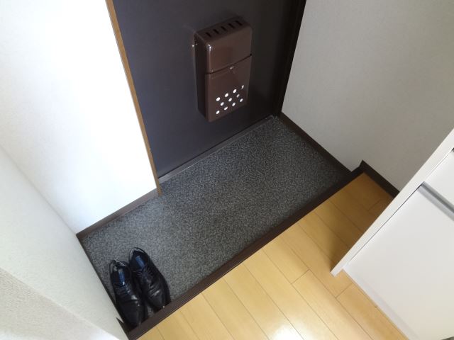 Entrance. Widely you can use the front door.