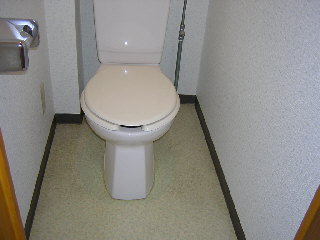 Toilet
