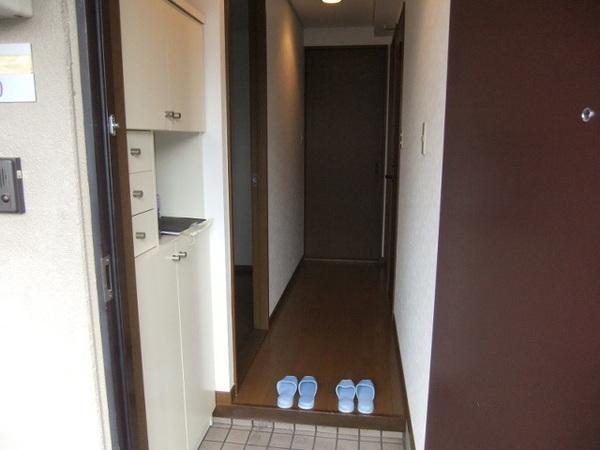 Entrance. Bright entrance