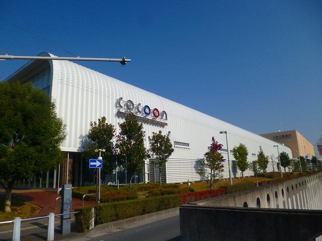 Other. Cocoon 7 minutes walk (about 560m)