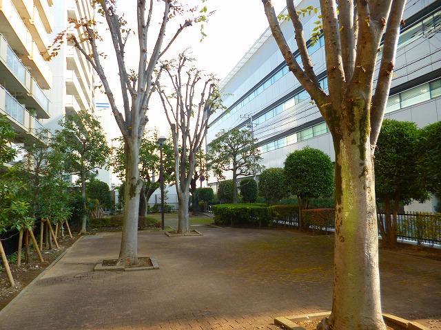 park. Self-management park