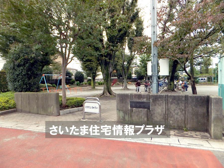 Other. Tree-lined park 