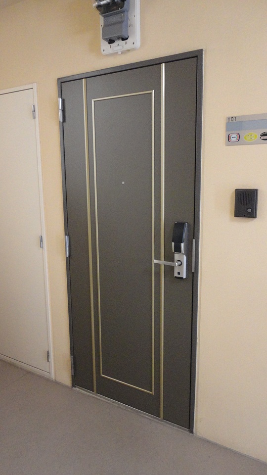 Entrance. Entrance door