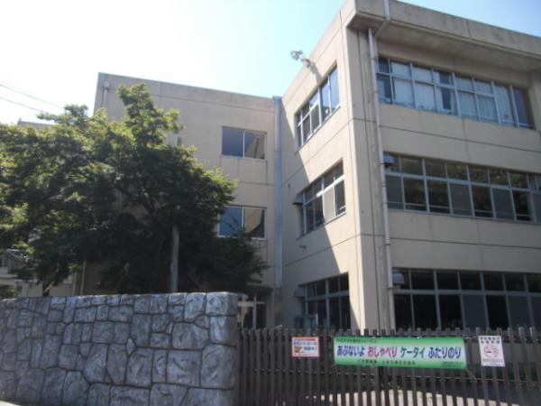 Junior high school. 1200m up to junior high school