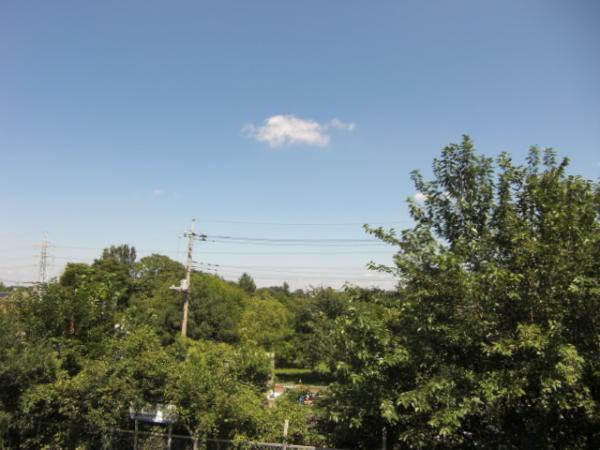 park. 800m to the park