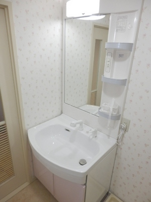 Washroom. And a clean easy to shampoo dresser! 