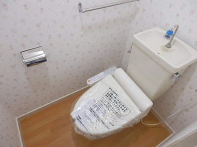 Toilet. It is with warm water washing toilet seat! 