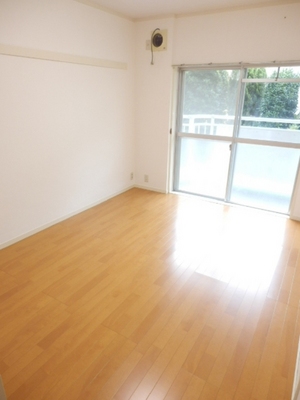 Living and room. Facing south in the bright Western-style