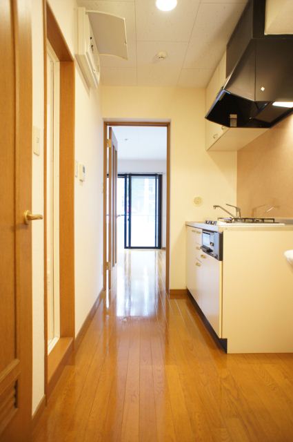 Kitchen. The corridor from the entrance to the room