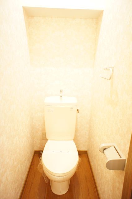 Toilet. It is a toilet with a clean.