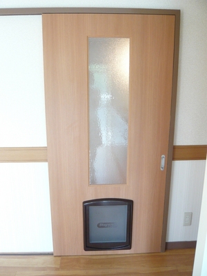 Other. It comes with a door for pets